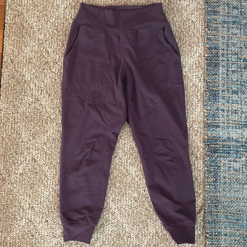 Senita skin joggers